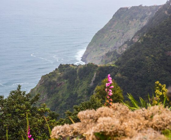 Klippe auf Madeira