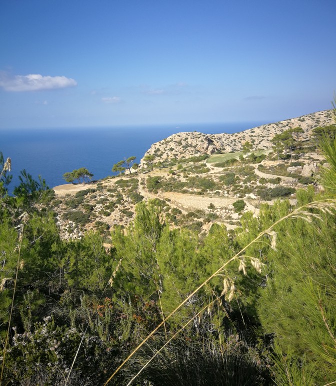 Ausblick auf das Meer