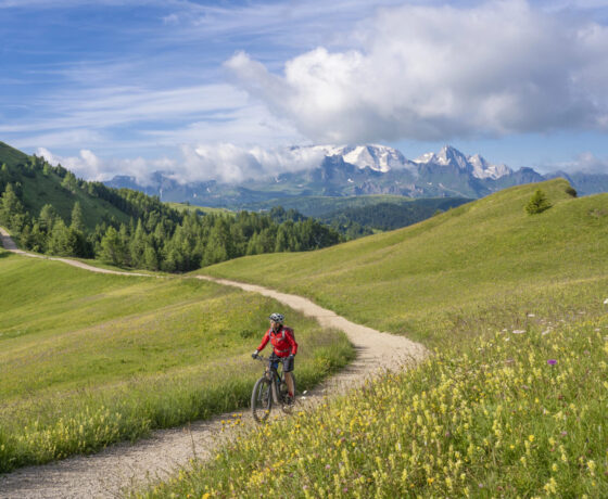 Elektro-Mountainbike auf der Hochebene von Pralongia in den Dolomiten von Alta Badia mit dem Gletscher des Marmolata-Gipfels im Hintergrund, Südtirol und Trentino, Italien