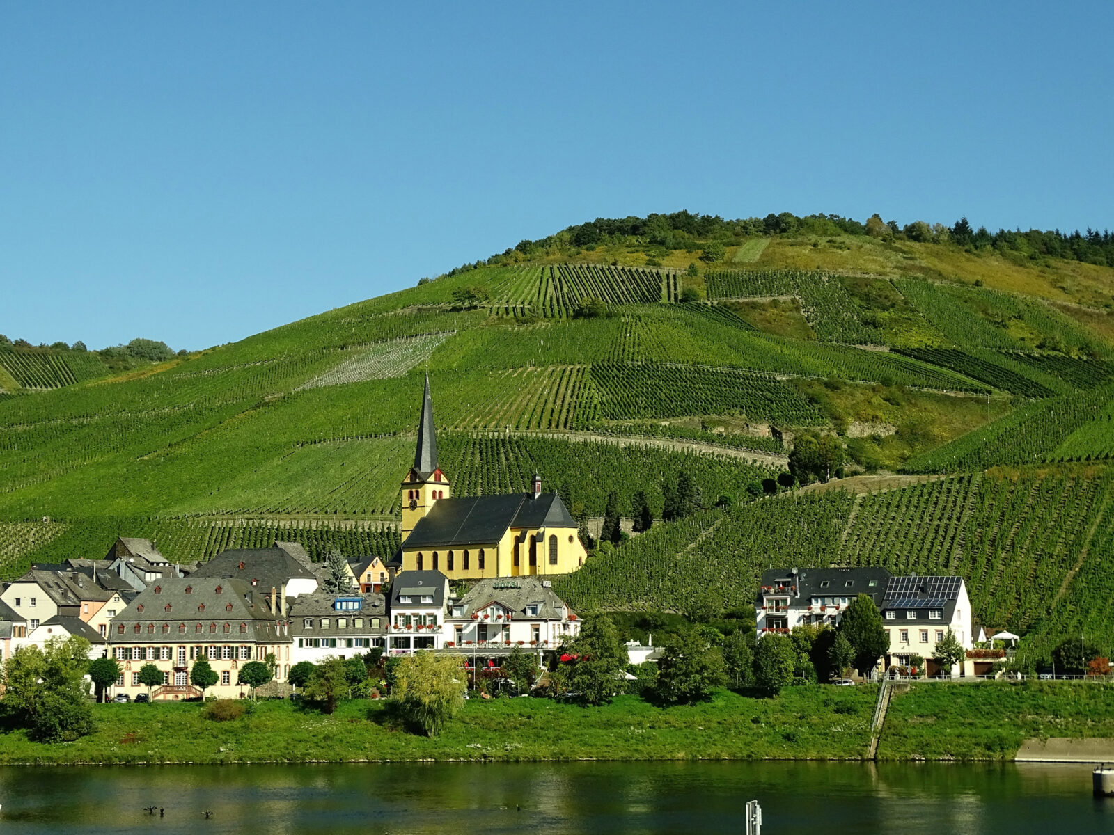 Blick auf Weinberge