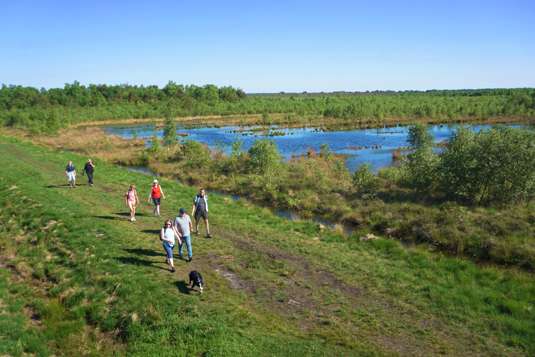 In einem Moorgebiet gehen Menschen auf einem Weg mit einem Hund spazieren