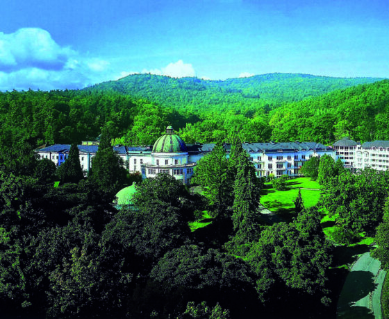 Luftaufnahme des MAritim Hotels Bad Wildungen. Weiße Gebäude mit mittiger Kuppel mit grünem Dach umgeben von Wald.