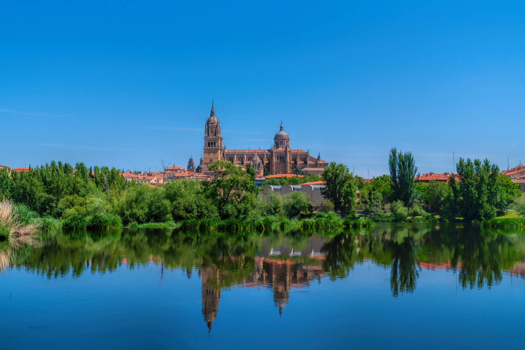 Neue Kathedrale von Salamanca